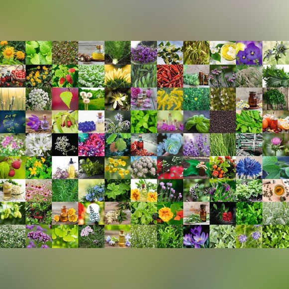 Ravensburger 1000 pc. Puzzle: 99 Herbs & Spices - Picture 5 of 7